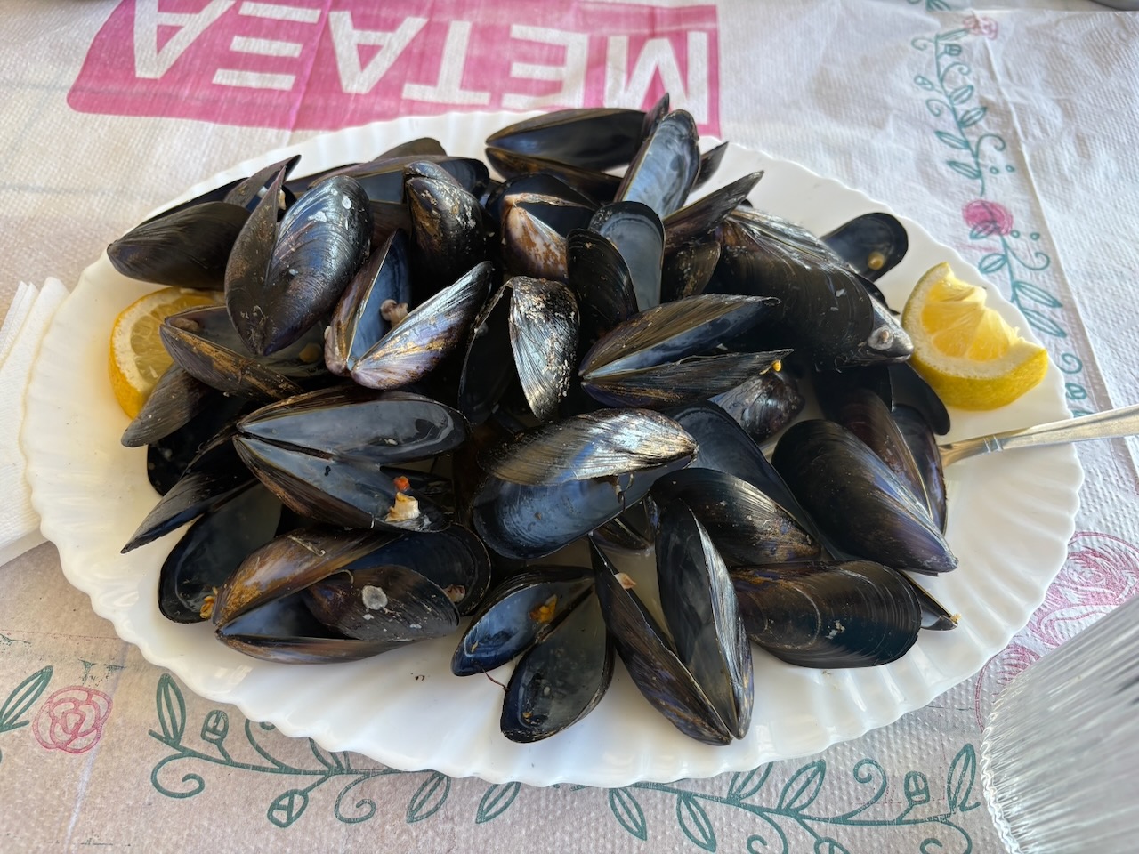 Paralia